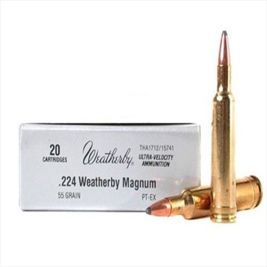 WBY AMMO 224WBY 55GR SP 20/10 - Ammunition